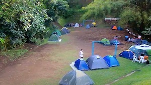 Campamentos en colegios en Pereira